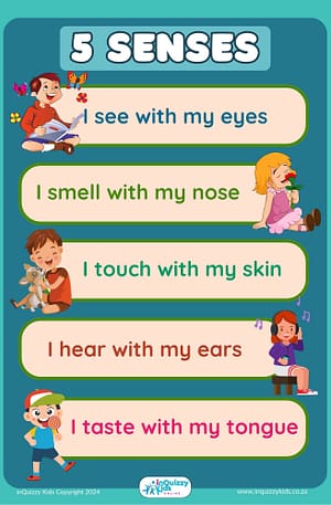 5 senses A3 Poster
