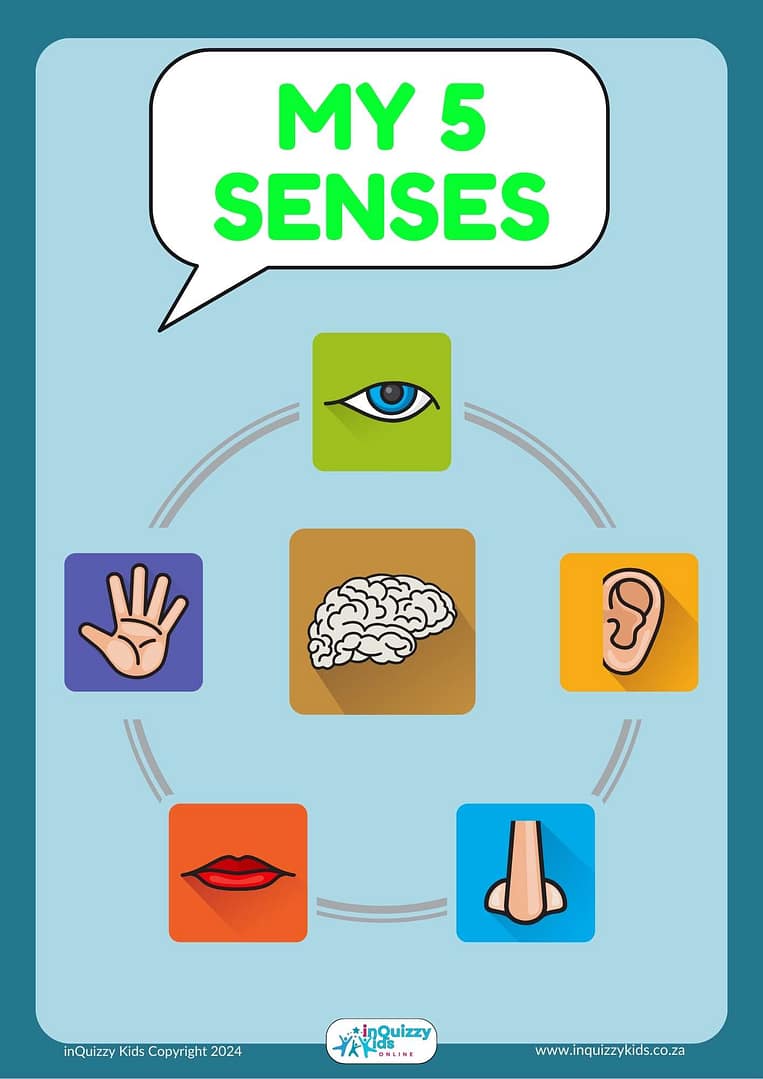 5 senses A3 Poster Bundle - 6 posters