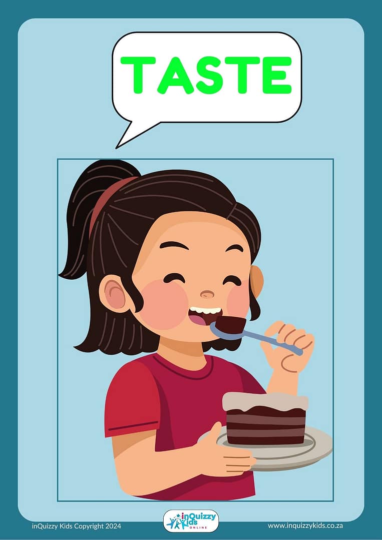 My 5 Senses Poster - A3 Posters Bundle: 6 Posters - Image 5