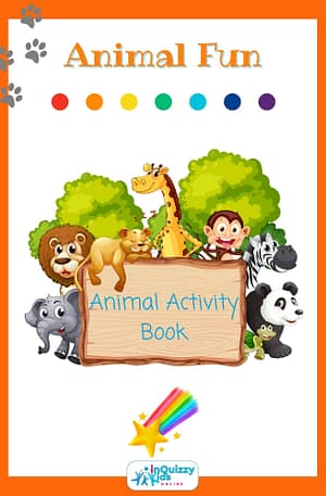 Animal Activity Book cover
